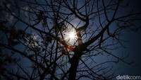 El Nino adalah fenomena atmosfer yang disebabkan oleh peningkatan suhu muka laut di Samudera Pasifik bagian timur. Peningkatan suhu ini membuat berkurangnya udara basah yang dibawa ke wilayah Indonesia. (Pradita Utama/detikcom)