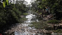 Gagal panen disebabkan karena sungai yang menjadi sumber irigasi warga mengering.  