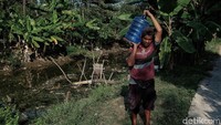 Warga pun harus membeli air bersih atau air galon untuk memenuhi kebutuhan sehari-hari.  