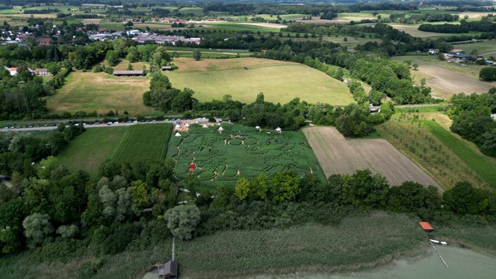 German farmers pay homage to Disney's 100th anniversary with a Mouse hunt, visitors can get lost and found in a giant maze formed in the shape of Micky and Minnie labyrinth which is cut into a corn field in Utting at lake Ammersee, Germany, July 31, 2023.     REUTERS/Louisa Off