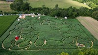 Labirin ini sebagai bentuk penghargaan dari petani Jerman untuk memperingati 100 tahun Disney.