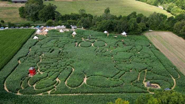 German farmers pay homage to Disney's 100th anniversary with a Mouse hunt, visitors can get lost and found in a giant maze formed in the shape of Micky and Minnie labyrinth which is cut into a corn field in Utting at lake Ammersee, Germany, July 31, 2023.     REUTERS/Louisa Off