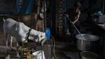 Potret Kehidupan di Dharavi, Daerah Paling Kumuh di Asia