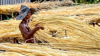 Laporan SDG Impact ini mendemonstrasikan luasnya cakupan kerja KMP dan manfaat positif yang diperoleh dari kredit karbon berkualitas tinggi. Sebagai contoh, untuk SDG 2, dengan target ‘Tanpa Kelaparan’, salah satu pencapaian  KMP adalah pembentukan Sekolah Tani Agroekologi (STA) yang bertujuan membantu petani setempat memastikan keberlanjutan dari lahan pertaniannya dengan menerapkan cara bertani tanpa bakar dan tanpa kimia.