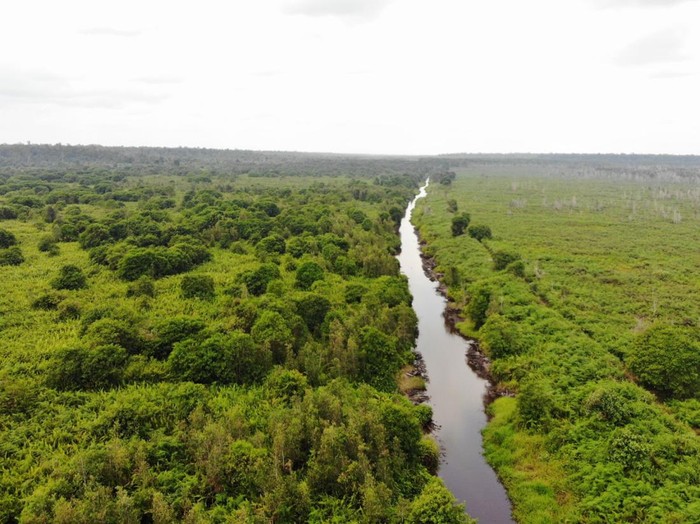 Katingan Mentaya Project (KMP) meluncurkan Laporan “SDG Impact Report” atas pencapaian  Proyek terhadap 17 Tujuan Pembangunan Berkelanjutan dari Perserikatan Bangsa-Bangsa  (United Nations Sustainable Development Goals/UN SDG).
