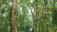 Katingan Mentaya Project adalah bukti bahwa proyek solusi berbasis alam dengan pendanaan dari perdagangan nilai ekonomi karbon, bila dilakukan dengan menerapkan prinsip ilmiah yang bertanggungjawab serta perencanaan yang holistik dan kolaboratif, dapat berkontribusi atas pencapaian target Pembangunan Berkelanjutan untuk Iklim, Biodiversitas dan Masyarakat.    