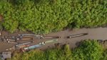 Potret Restorasi Ekosistem Hutan Gambut di Kalimantan Tengah
