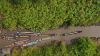 Katingan Mentaya Project (KMP) meluncurkan Laporan “SDG Impact Report” atas pencapaian Proyek terhadap 17 Tujuan Pembangunan Berkelanjutan dari Perserikatan Bangsa-Bangsa (United Nations Sustainable Development Goals/UN SDG). 