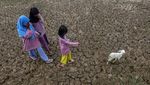Ngeri! El Nino Bikin Sebagian Wilayah RI Kekeringan