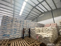 Realisasi Pupuk Subsidi Lampaui Kuota, Tembus 5,3 Juta Ton
