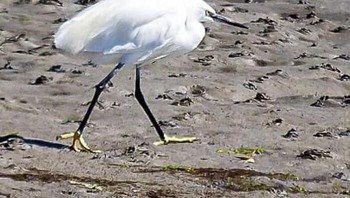 Wajahnya tampak kesal sepertinya mau nagih utang nih. Foto: Boredpanda
