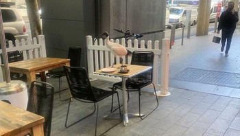 Si burung yang sedang sarapan pagi. Foto: Boredpanda