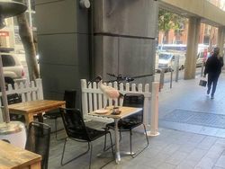 Tingkah dan Ekspresi Kocak Burung Dalam Bidikan Kamera