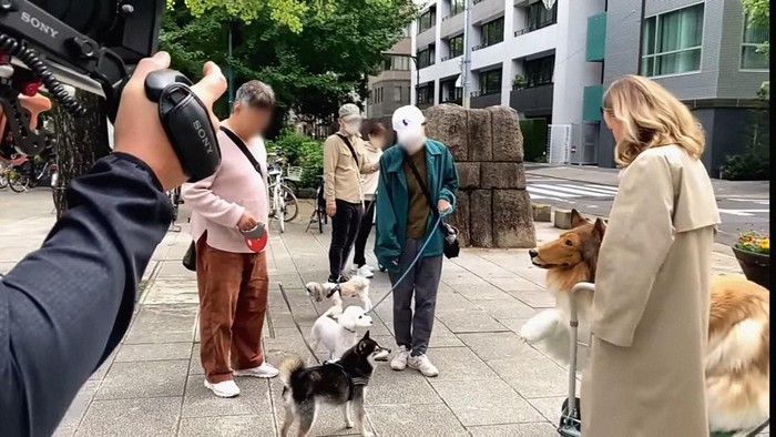 Toco manusia berkostum anjing di Jepang.