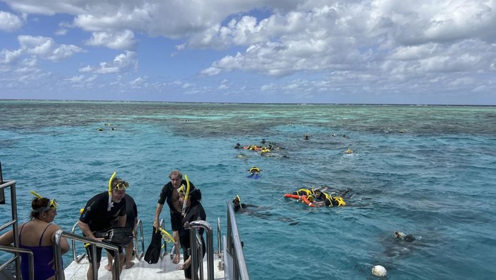 Traveler di Great Barrier Reef