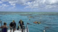 Populer: Korban Baru Great Barrier Reef, Turis Belanda Tewas Saat Snorkeling