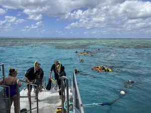Great Barrier Reef Tak Masuk Daftar Bahaya UNESCO, tapi Dibayangi El Nino