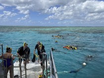 Muncul Tren Berwisata ke Tempat Berpotensi Punah, Nggak Bahaya Ta?