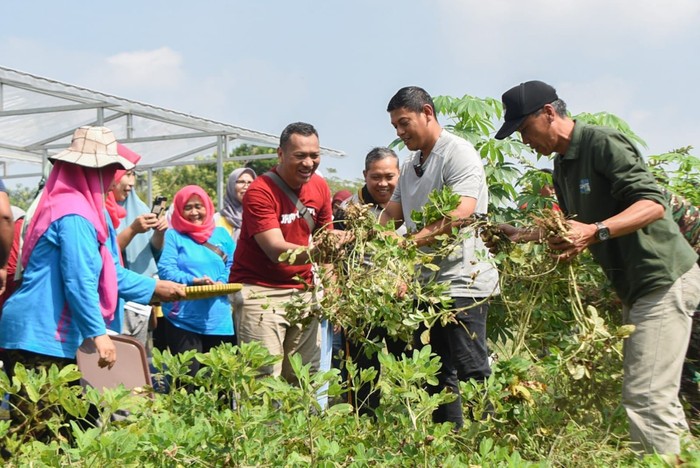 Urbang Farming di Kediri