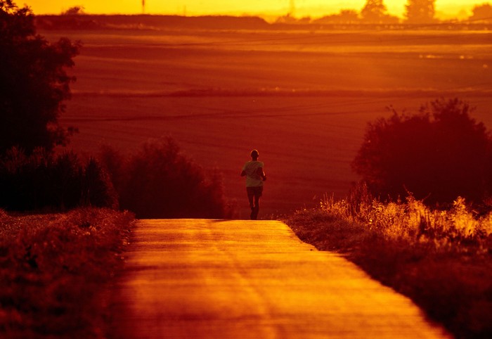 FILE - A man uses cool morning hours for a run on a small road in the outskirts of Frankfurt, Germany, Monday, July 18, 2022. Rising global temperatures are elevating air conditioning from a luxury to a necessity in many parts of Europe, which long has had a conflictual relationship with energy-sucking cooling systems deemed by many a U.S. indulgence.  (AP Photo/Michael Probst, file )