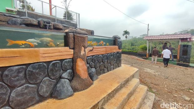 Wisata Edukasi Bumi Pakarangan Ciamis, menyajikan wisata kebun binatang mini