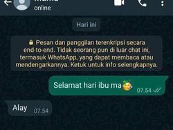 10 Chat Gagal Gombal yang Bikin Nyengir, Kasihan Amat