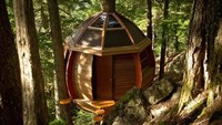 Seorang Software Developer, Joel Allen membangun rumah pohon di Whistler, Kanada. (Joel Allen via Business Insider).  