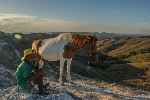 Bukit Wairininding, Sumba, Nusa Tenggara Timur. (Dok. Kemenparekraf)