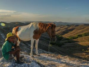Melihat Keindahan Bukit Wairinding Sumba, Berbentuk Seperti Raksasa