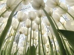 Foto Diambil dari Sudut Berbeda Bikin Tercengang