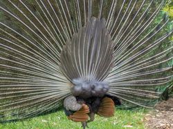 Foto Diambil dari Sudut Berbeda Bikin Tercengang