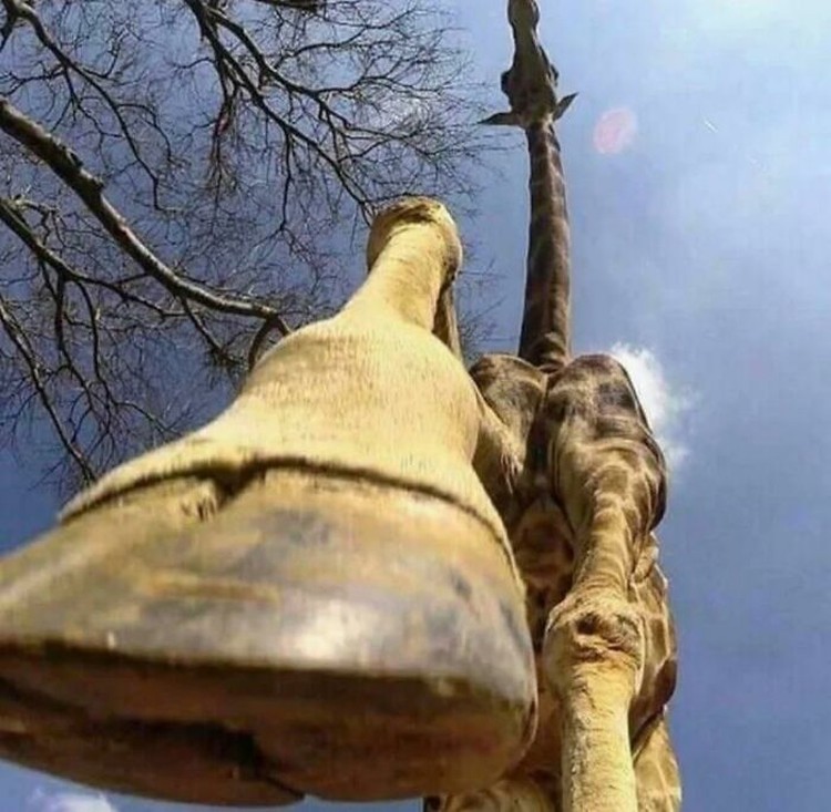 Foto angle berbeda