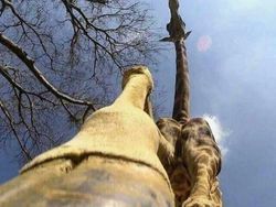 Foto Diambil dari Sudut Berbeda Bikin Tercengang