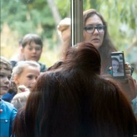 Foto angle berbeda