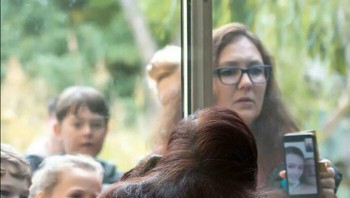 Sudut berbeda di kebun binatang. Foto: Reddit