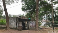 Di ruas jalan ini, pepohonan tumbuh rindang. Tiang-tiang dan kabelnya seolah balapan dengan pepohonan.