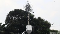 Di pinggir jalan sisi barat, ada tower BTS menjulang tinggi. Warnanya abu-abu. Selain satu tower BTS itu, terdapat banyak tiang kabel yang lebih langsing dan berwarna hitam, ada pula yang berwarna abu-abu.
