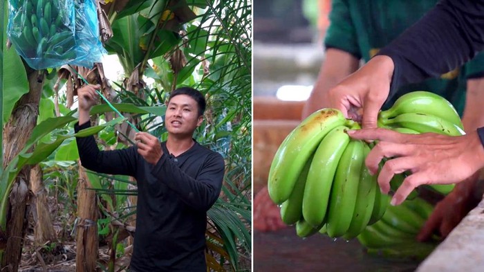 Pria Ini Tinggalkan Bisnis Keluarga, Pilih Jadi Petani Pisang