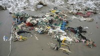 Ragam jenis sampah mengotori pantai yang terletak di Distrik Ventanilla tersebut.  