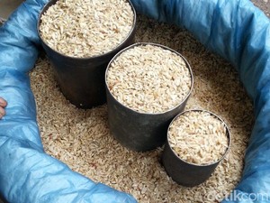 Tipa-tipa, Sereal Khas Samosir Terbuat dari Beras