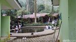 Potret Curug Cilember, Favoritnya Turis Arab