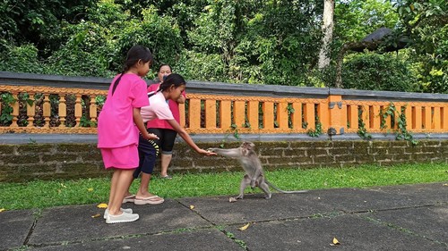 Suasana pengunjung di objek Alas Kedaton yang ramai saat Umanis Galungan pada Kamis (3/8/2023) siang.