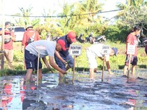 Beri Kontribusi Nyata, SDGs Center UMM Diakui Bappenas RI