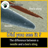 Deretan fakta menarik ini bakalan bikin kamu terkejut. Apakah sudah ada yang kamu ketahui sebelumnya?