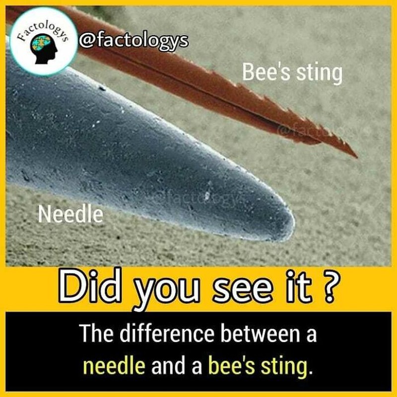 Deretan fakta menarik ini bakalan bikin kamu terkejut. Apakah sudah ada yang kamu ketahui sebelumnya?