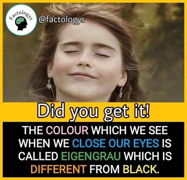 10 Fakta Menarik yang Bakal Bikin Kamu Terkejut Deretan fakta menarik ini bakalan bikin kamu terkejut. Apakah sudah ada yang kamu ketahui sebelumnya?