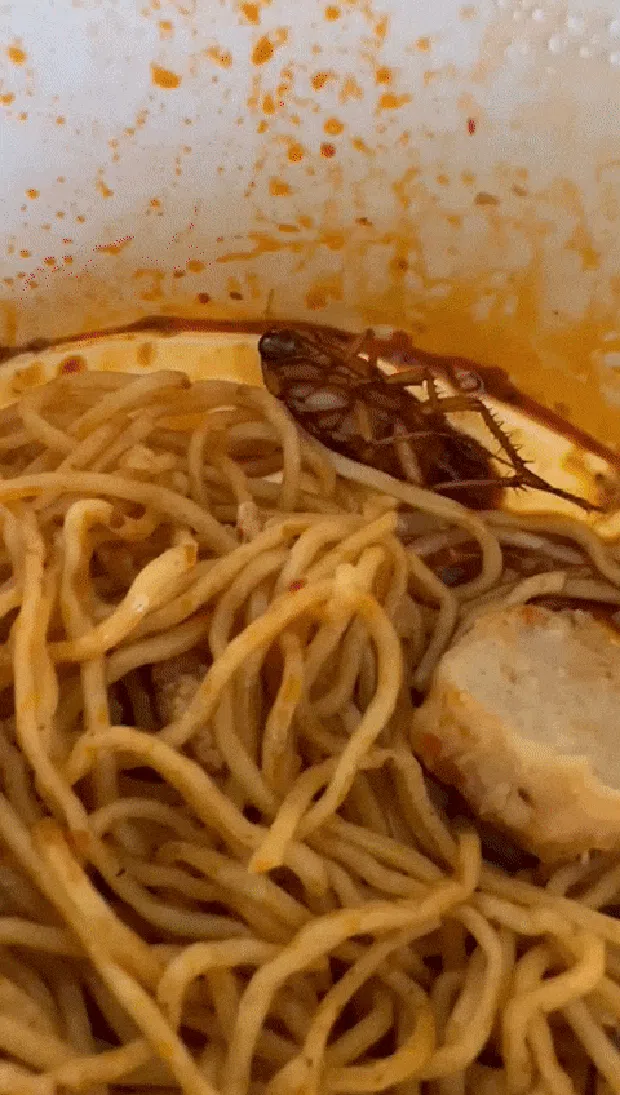 Ada Kecoa di Dalam Mie Babi, Pihak Restoran Malah Tuduh Pembeli
