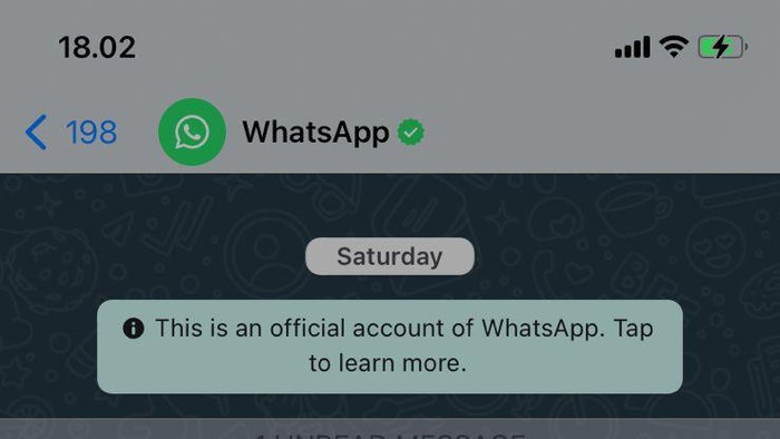 Viral larangan membuka chat akun WhatsApp dengan centang hijau sebab itu adalah hacker. Apakah nyatanya benar seperti itu?