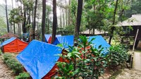 Untuk traveler yang mau berkemah, Curu Cilember juga punya kawasan khususnya. Harga per tenda 70 per jam untuk sewa singkat. Jika mau menginap hanya cukup tambah 10 ribu saja dari uang tiket masuk Rp 25 ribu. (bonauli/detikcom)