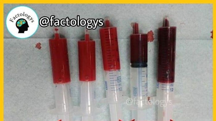 Deretan fakta mencengangkan